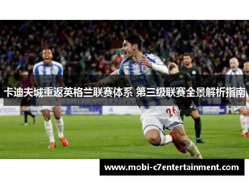 卡迪夫城重返英格兰联赛体系 第三级联赛全景解析指南 卡迪夫城重返英格兰联赛体系 第三级联赛全景解析指南