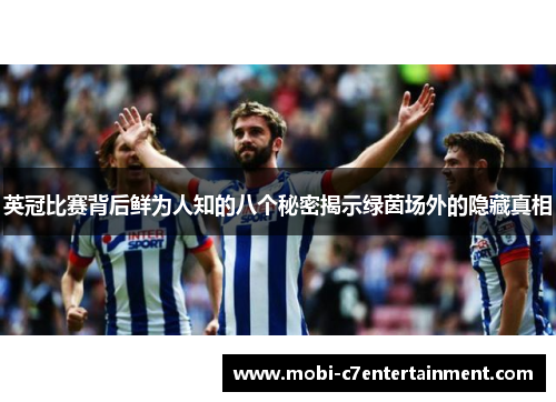 英冠比赛背后鲜为人知的八个秘密揭示绿茵场外的隐藏真相 英冠比赛背后鲜为人知的八个秘密揭示绿茵场外的隐藏真相