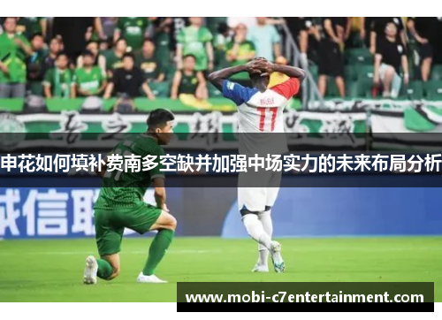 申花如何填补费南多空缺并加强中场实力的未来布局分析