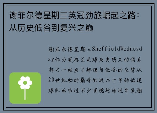 谢菲尔德星期三英冠劲旅崛起之路：从历史低谷到复兴之巅